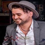 دانلود آهنگ حمیدرضا نیک بین دل میبری